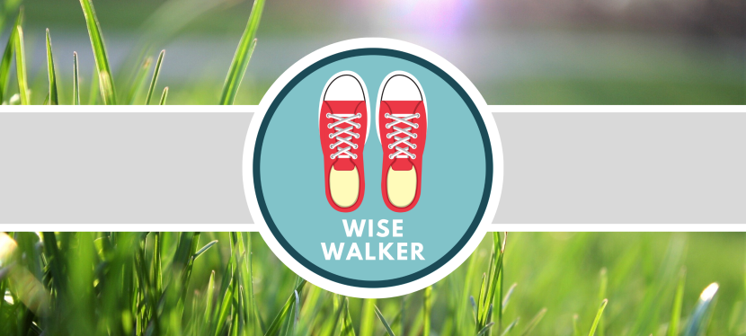 Wise Walker Badge